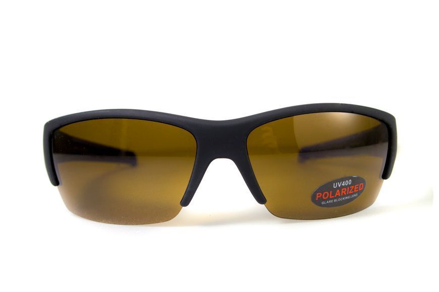 Очки поляризационные BluWater Daytona-2 Polarized (brown), гидрофобные коричневые линзы (Repelon&trade;) 4ДЕЙТ2-Г50П фото