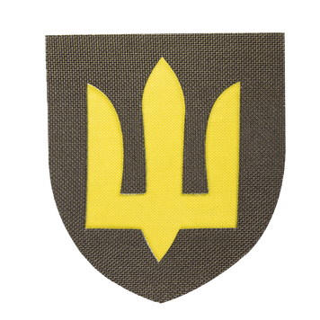 Шеврон Camotec ЗСУ Сухопутні війська (7*8) Олива/Жовтий 9059 фото