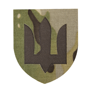 Шеврон Camotec ЗСУ Сухопутні війська (7*8) MC 9060 фото